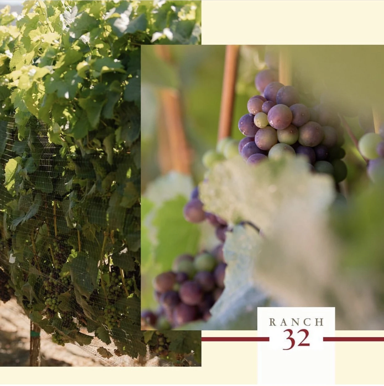 32领域赤霞珠干红葡萄酒 2017 | Ranch 32 Cabernet Sauvignon 2017 (Monterey, CA) 商品