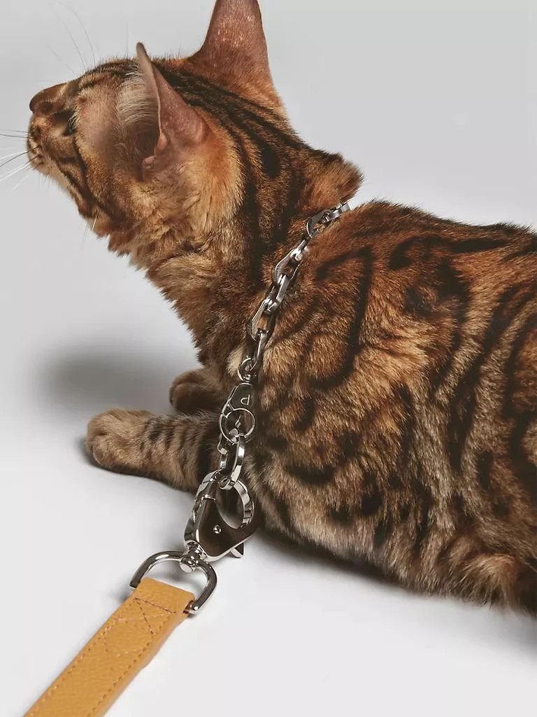 商品Pagerie|The Ox Leather & Chain Dog Leash,价格¥2848,第5张图片详细描述
