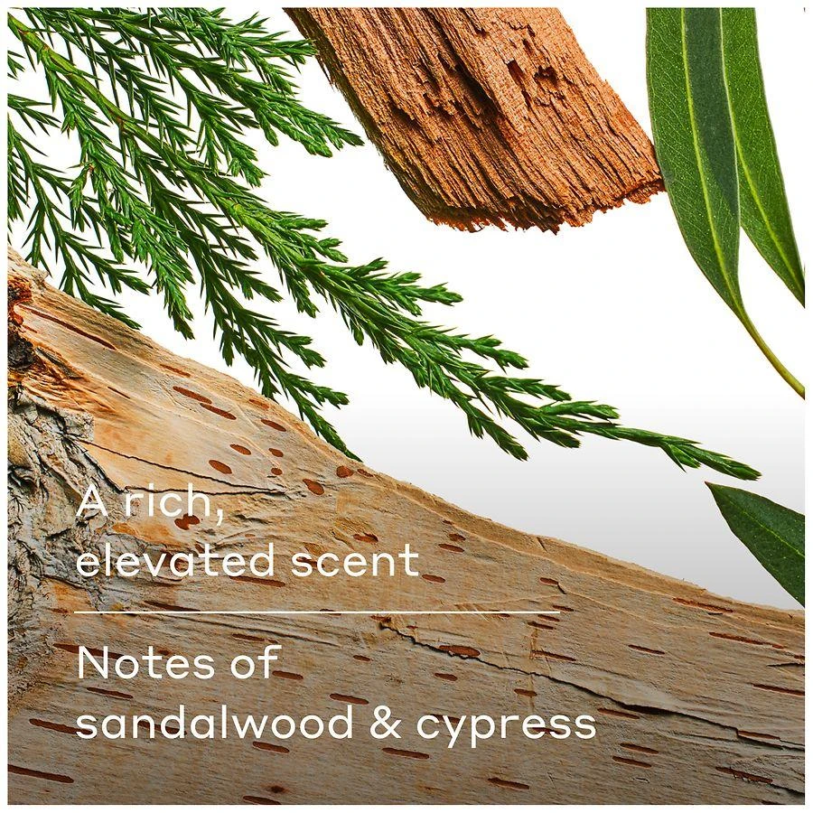 商品Harry's|Body Wash Wildlands - Sandalwood & Cypress,价格¥59,第5张图片详细描述