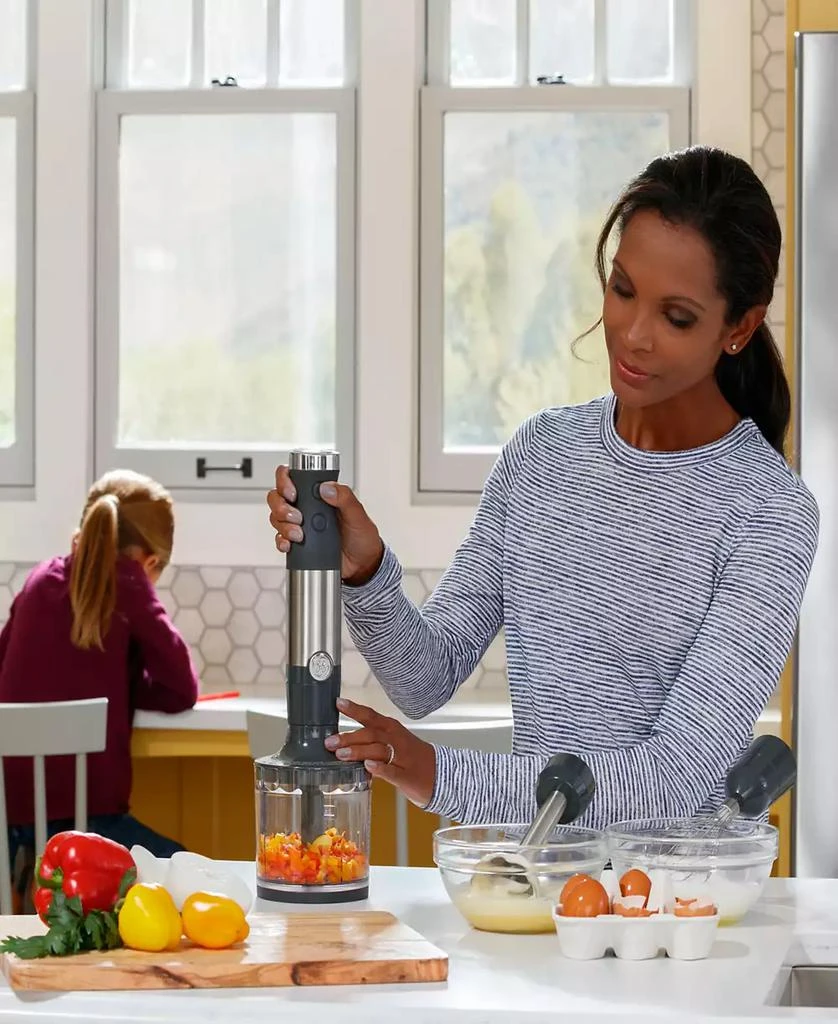 GE Immersion Blender & Accessory Kit 商品