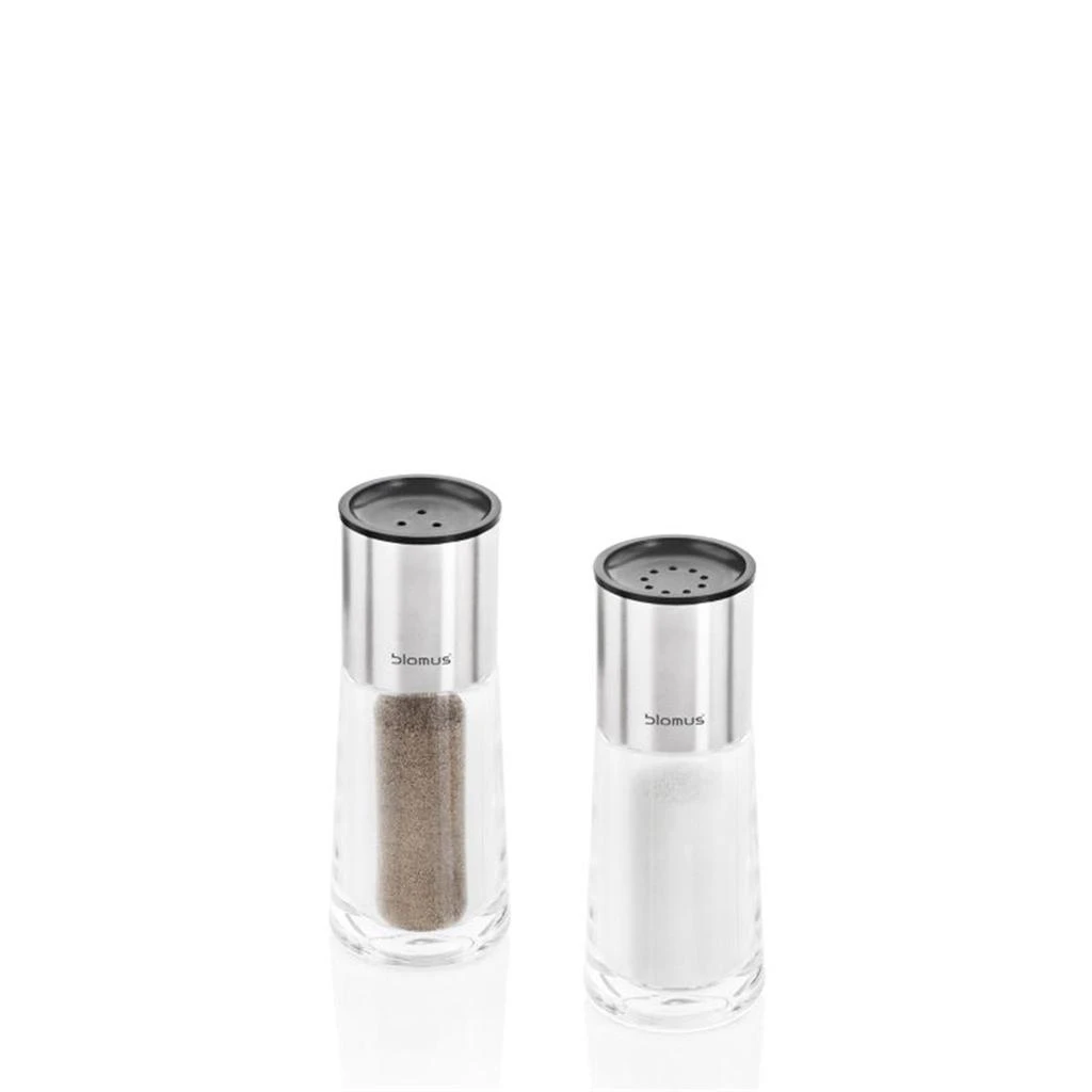 商品Blomus|Blomus 63567 Stainless Steel Salt & Pepper Set,价格¥292,第1张图片