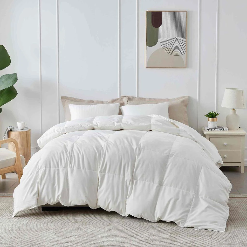 商品Puredown|Ultra Soft Fabric All Season Premium Feather Fiber and Microfiber Comforter with 360TC, White,价格¥459,第2张图片详细描述