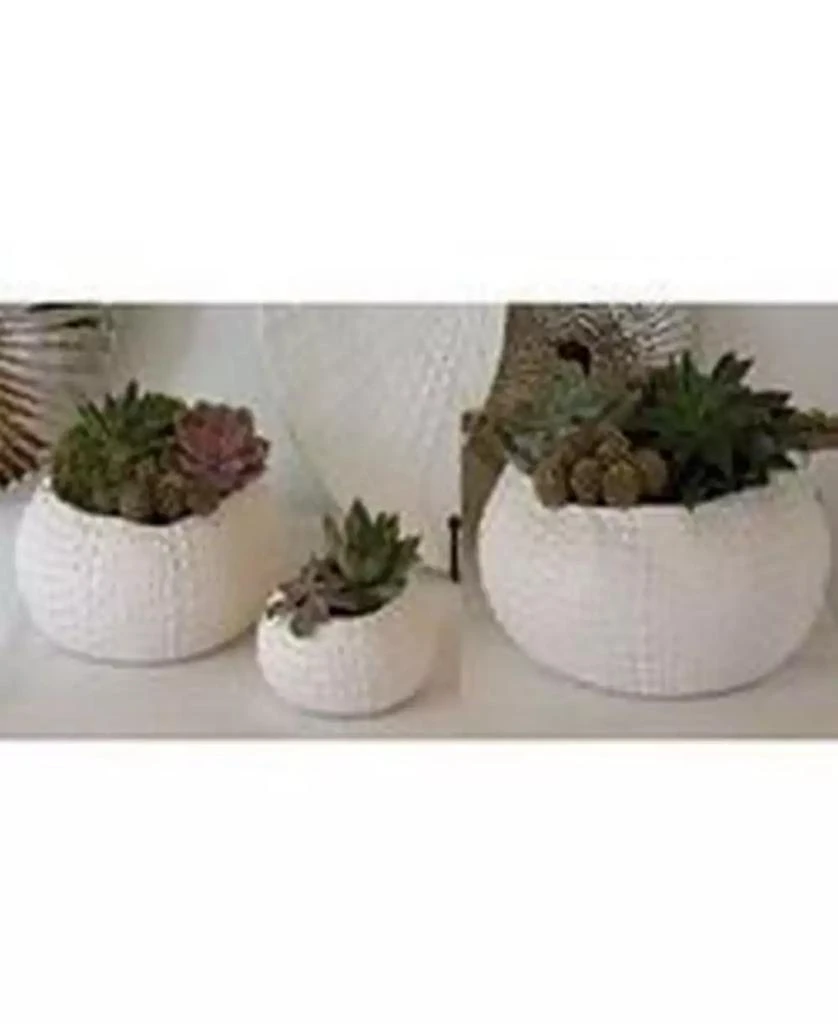 商品Global Views|Ceramic Urchin Bowl Small,价格¥637,第2张图片详细描述