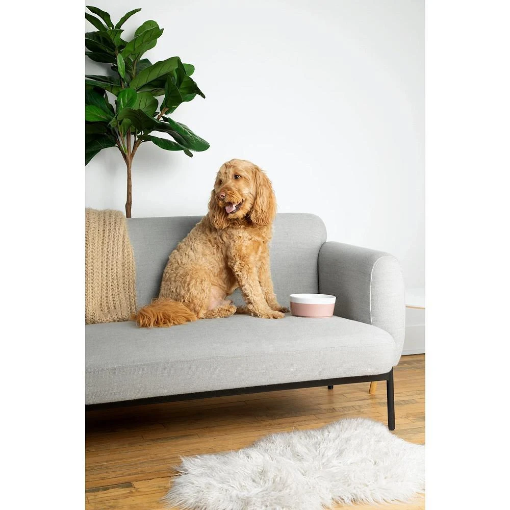 商品Waggo|Dog Dipper Bowl Medium Terracotta -,价格¥179,第2张图片详细描述