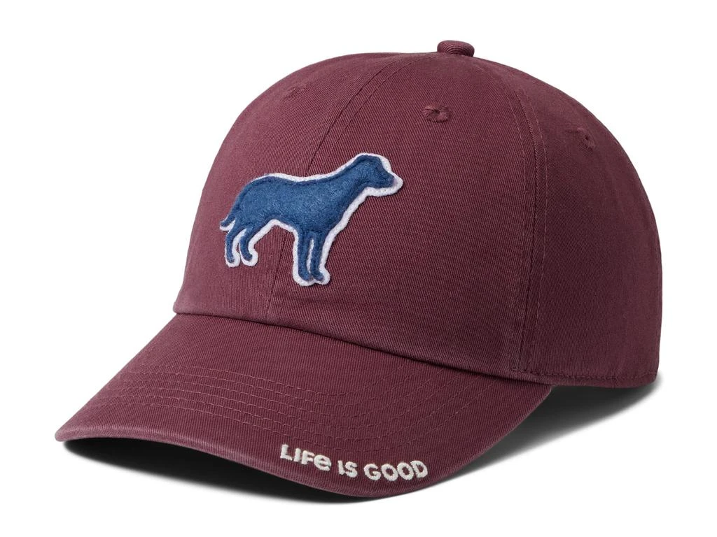 商品Life is Good|Stay True Dog Chill Cap,价格¥209,第1张图片