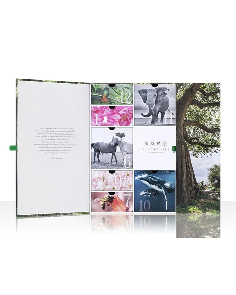 商品Chantecaille|Makeup & Skincare Advent Calendar,价格¥2896,第2张图片详细描述