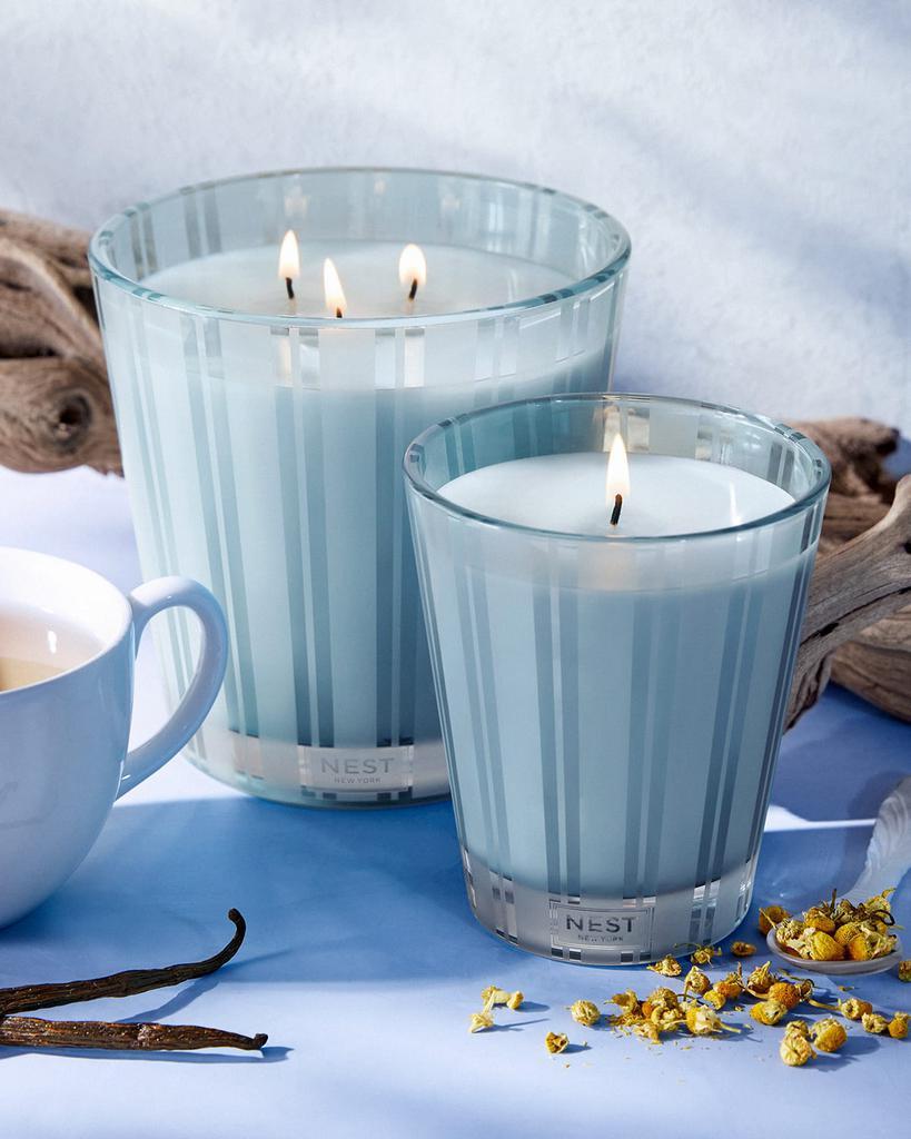 商品NEST New York|21.1 oz. Driftwood & Chamomile 3-Wick Candle,价格¥566,第6张图片详细描述