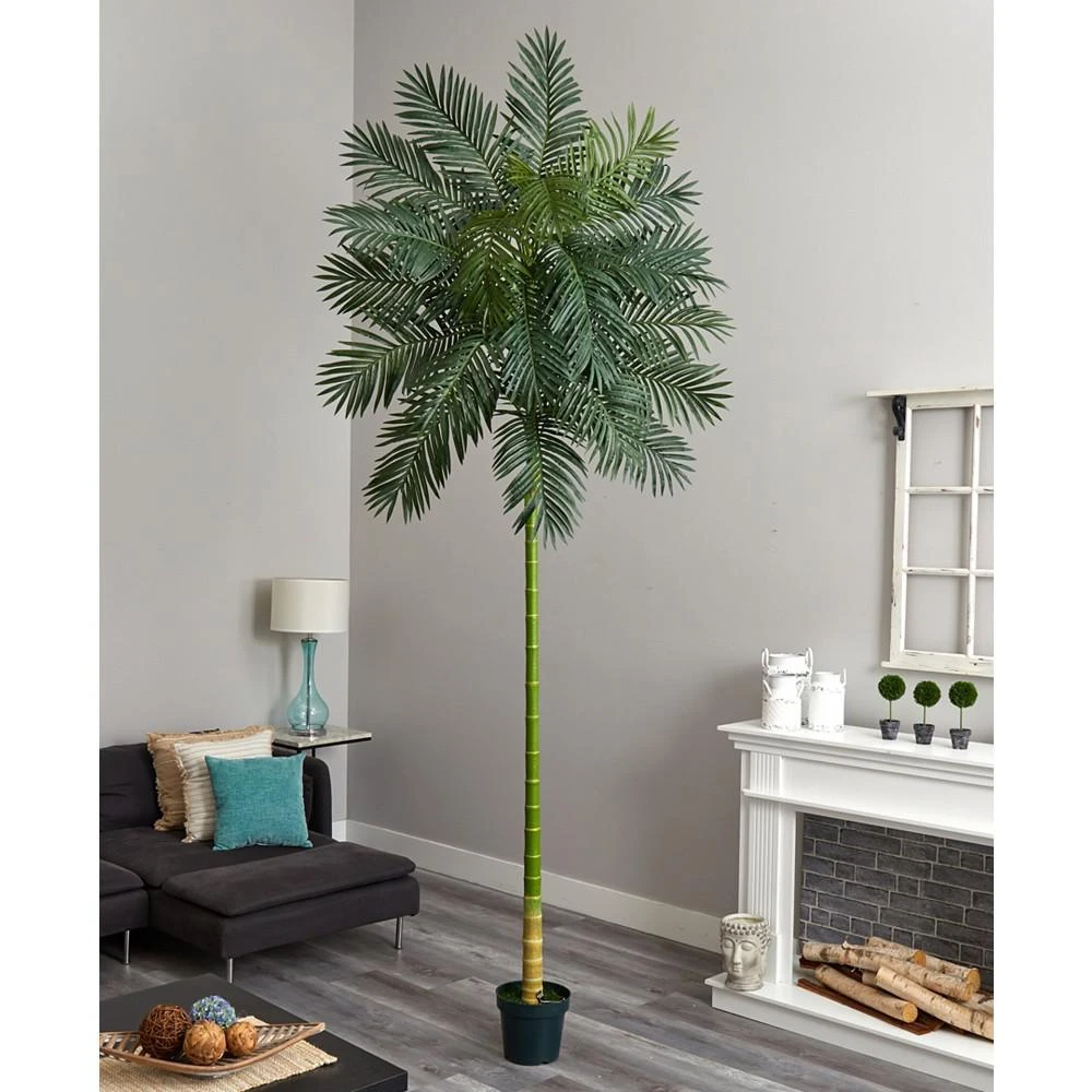 商品NEARLY NATURAL|Cane Artificial Palm Tree, 10',价格¥2686,第2张图片详细描述