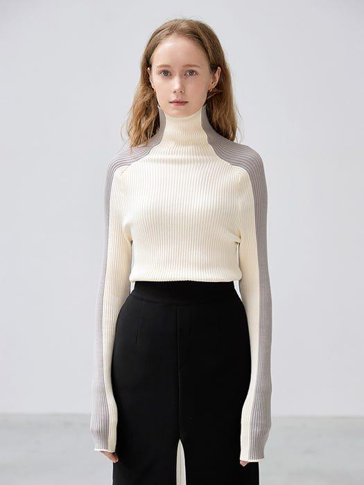 Sion Turtleneck Top商品第1张图片规格展示