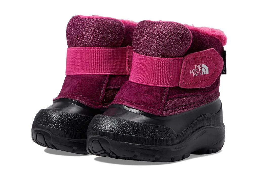 商品The North Face|Alpenglow II (Toddler),价格¥412,第1张图片