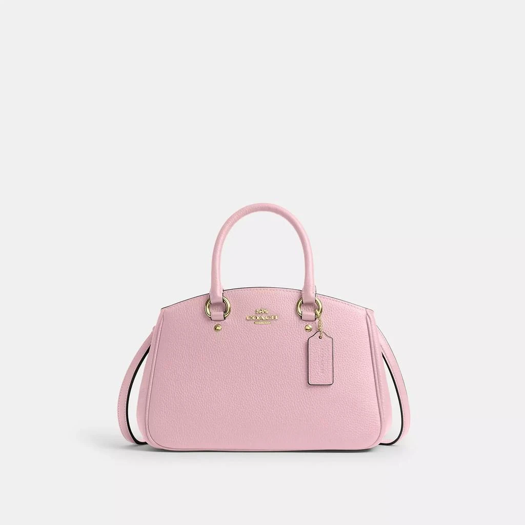 商品Coach|Savannah Small Carryall Bag,价格¥1570,第1张图片