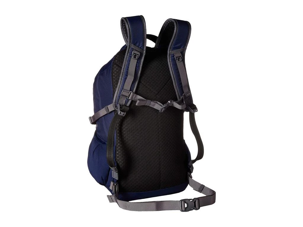 商品Pacsafe|25 L Venturesafe G3 Anti-Theft Backpack,价格¥901,第2张图片详细描述