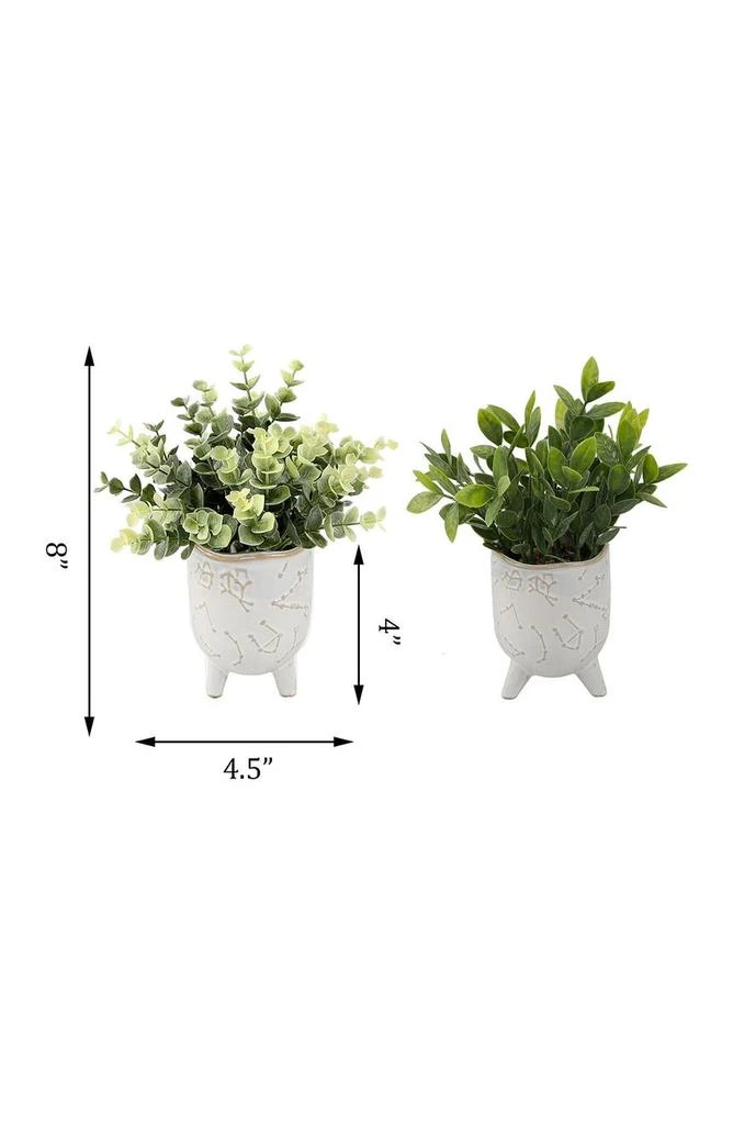 商品FLORA BUNDA|Tea Leaf In 3" Ivory Constellation Footed Pot - Set of 2,价格¥205,第4张图片详细描述