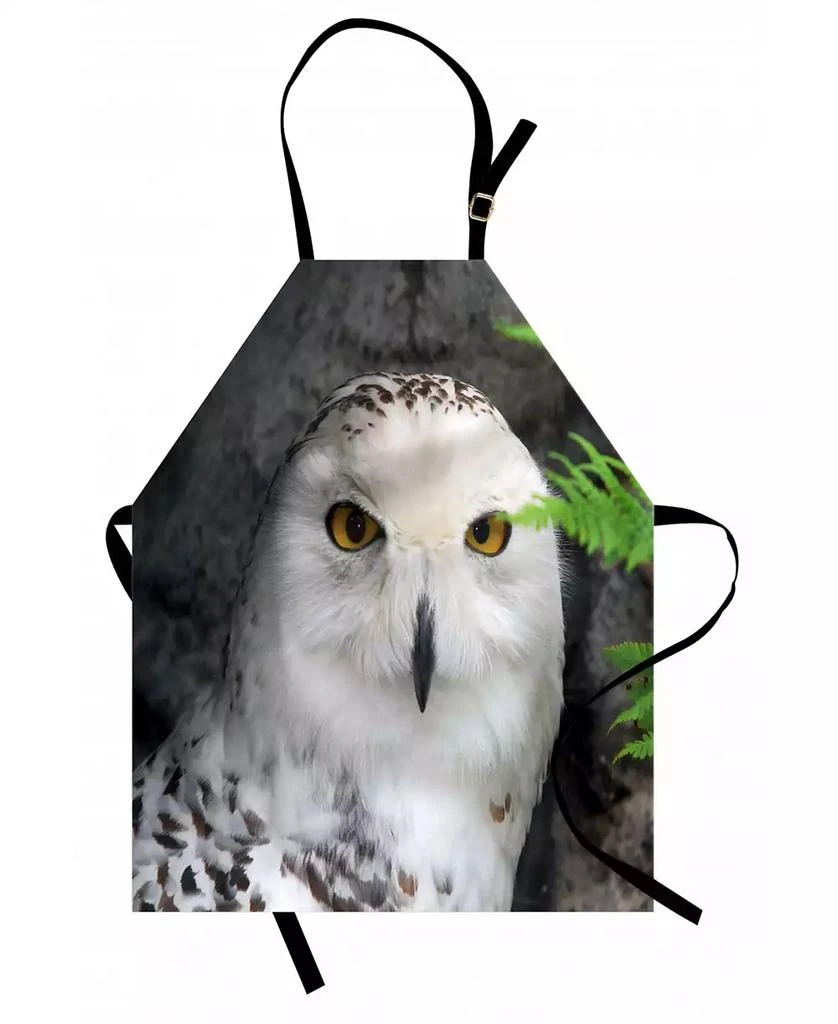 商品Ambesonne|Wizard Apron,价格¥191,第1张图片