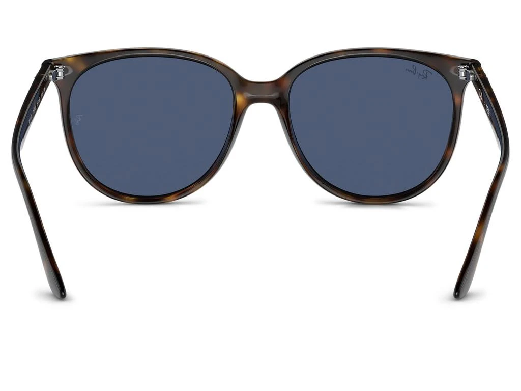 商品Ray-Ban|54 mm 0RB4378,价格¥1142,第4张图片详细描述