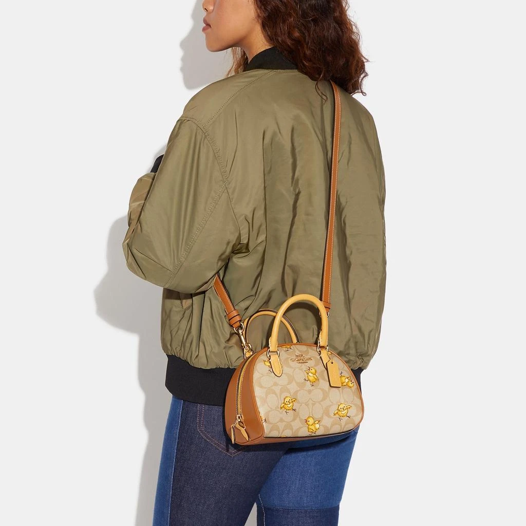商品Coach|Coach Outlet Sydney Satchel In Signature Canvas With Tossed Chick Print,价格¥813,第3张图片详细描述