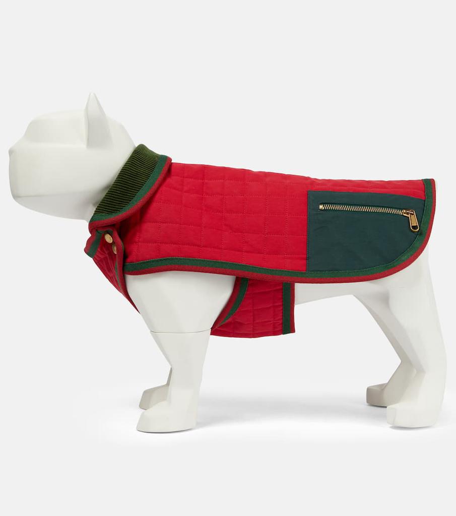 Exclusive to Mytheresa – Quilted drill dog coat商品第2张图片规格展示