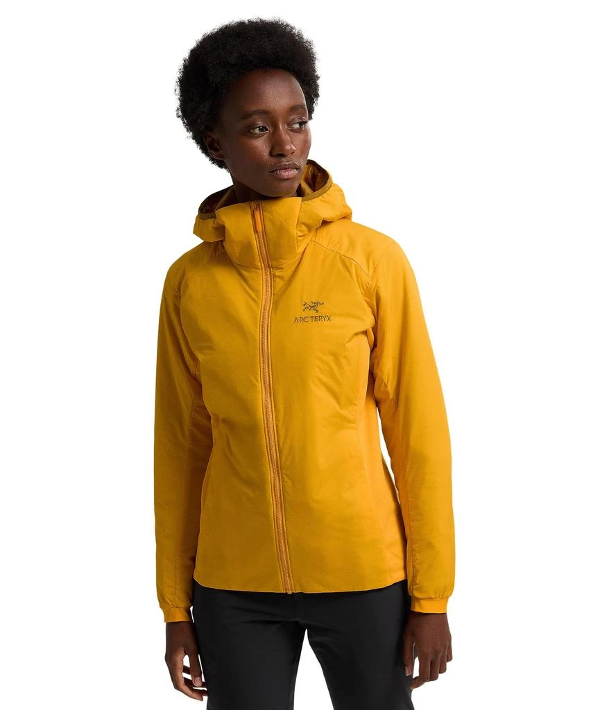 商品Arc'teryx|Atom Hoody,价格¥1756,第1张图片