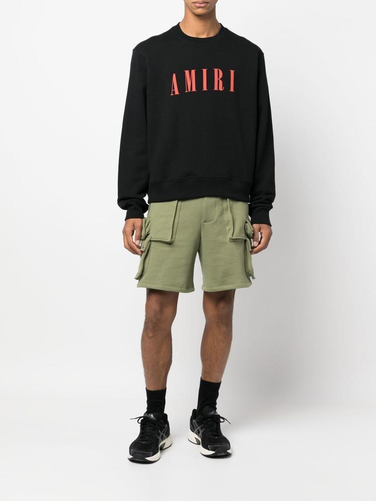 商品AMIRI|Core logo sweatshirt,价格¥3910,第4张图片详细描述
