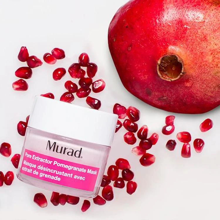 商品Murad|Pore Extractor Pomegranate Mask,价格¥283,第4张图片详细描述