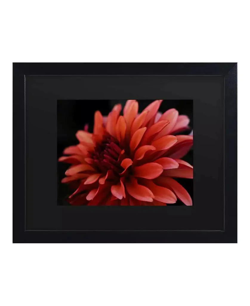 商品Trademark Global|Kurt Shaffer Red Dhalia Matted Framed Art - 15" x 20",价格¥590,第1张图片