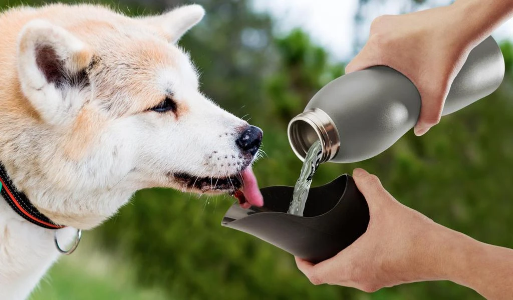 商品Mobile Dog Gear|25 Oz Water Bottle,价格¥212,第2张图片详细描述