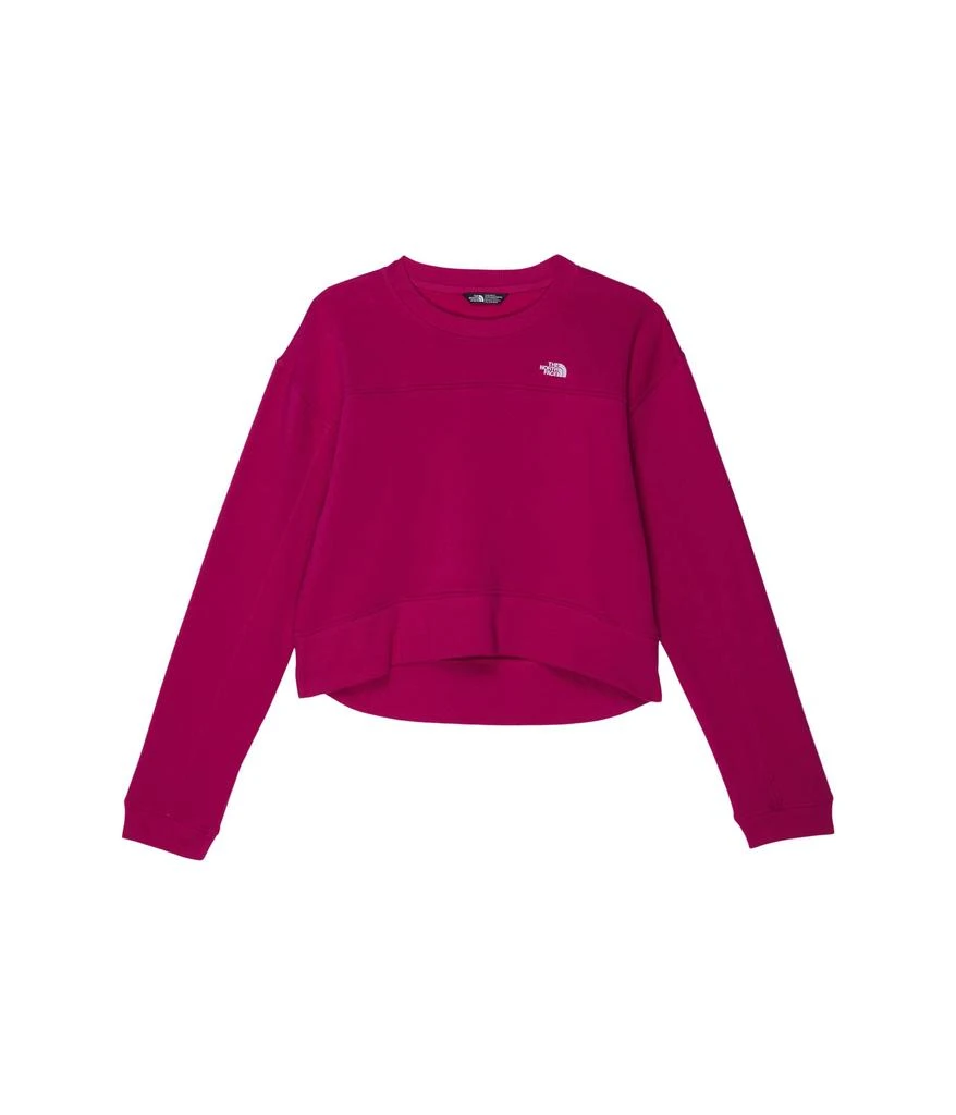 商品The North Face|Camp Fleece Crew (Little Kids/Big Kids),价格¥216,第1张图片