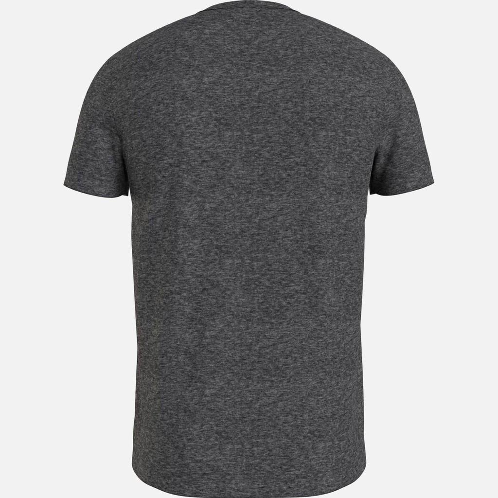 Tommy Hilfiger Flag Arch Cotton T-Shirt商品第3张图片规格展示