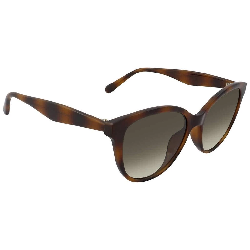 商品Salvatore Ferragamo|Grey Gradient Butterfly Ladies Sunglasses SF1073S 240 54,价格¥450,第2张图片详细描述