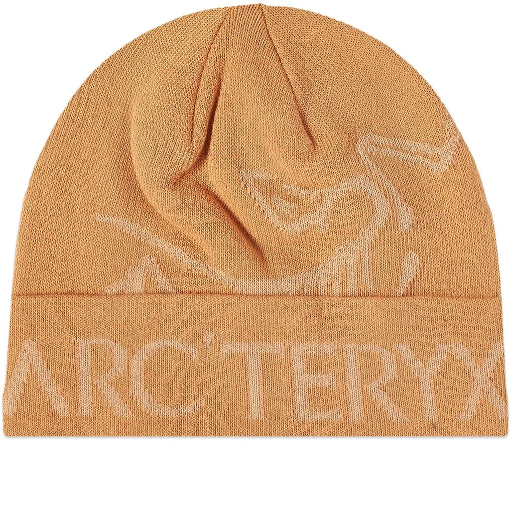 商品Arc'teryx|Arc'teryx Bird Word Toque,价格¥370,第1张图片