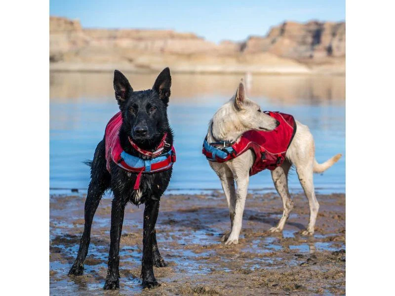Surf n' Turf Lifejacket 商品
