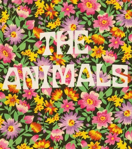 商品The Animals Observatory|Seahorse floral cotton sweater,价格¥575,第2张图片详细描述
