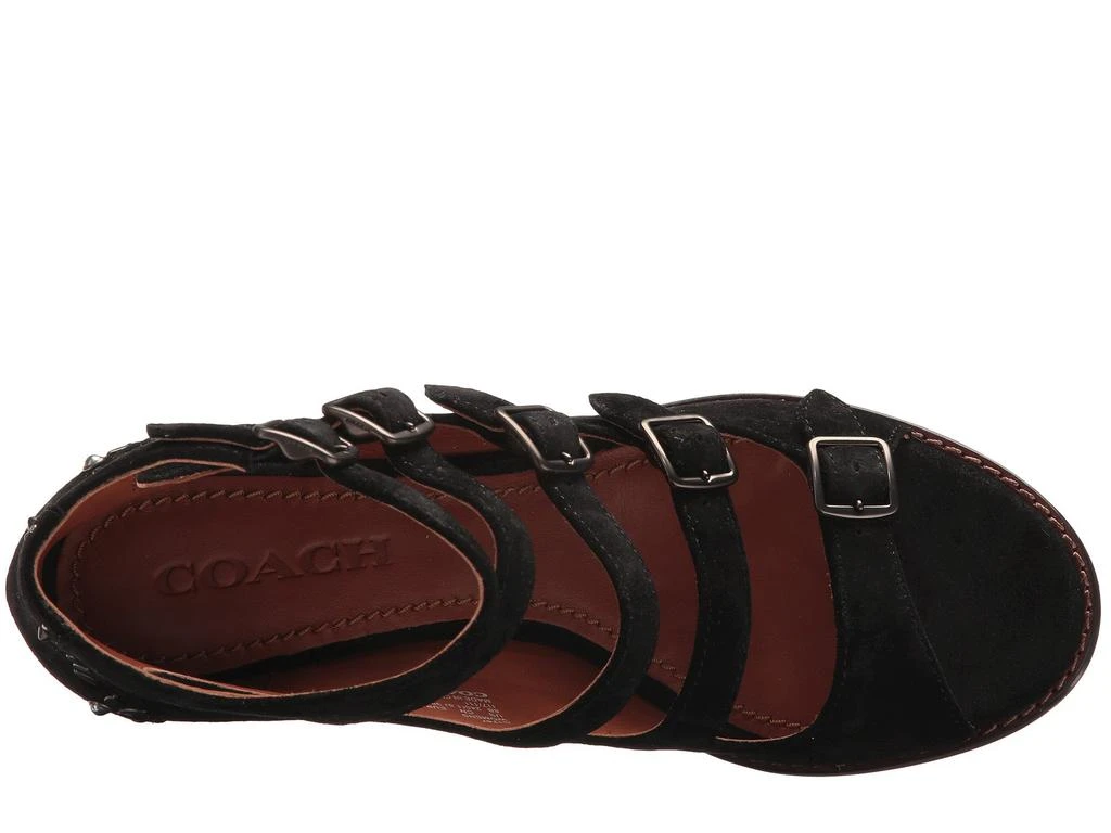 商品Coach|Buckle Bootie with Prairie Rivets,价格¥485,第2张图片详细描述