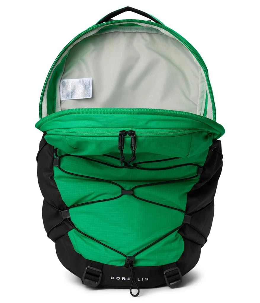 商品The North Face|Borealis,价格¥729,第3张图片详细描述