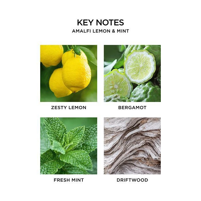 商品NEST New York|NEST Fragrances Amalfi Lemon & Mint Liquid Soap 10 oz.,价格¥195,第5张图片详细描述