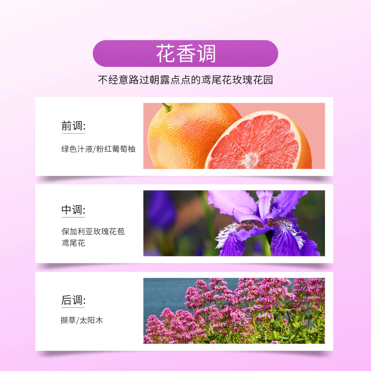 宝格丽紫晶淡香水25ml/40ml/65ml 商品