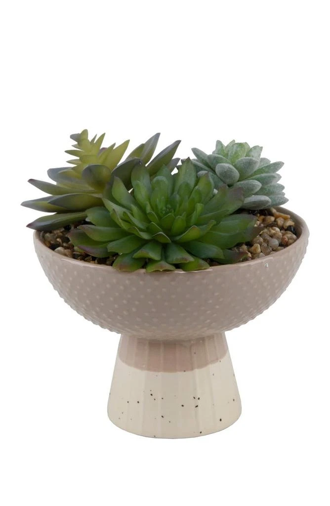 商品FLORA BUNDA|Beige/Cream Faux Succulent Mix Bowl,价格¥297,第1张图片