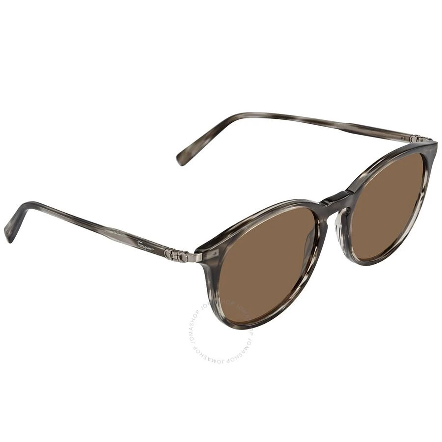 商品Salvatore Ferragamo|Salvatore Ferragamo Brown Round Ladies Sunglasses SF911S 003 53,价格¥560,第3张图片详细描述