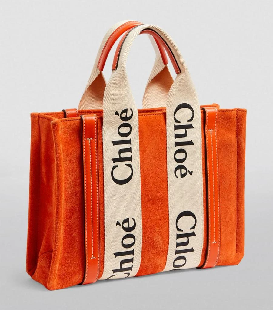 商品Chloé|Small Suede Woody Tote Bag,价格¥9386,第3张图片详细描述