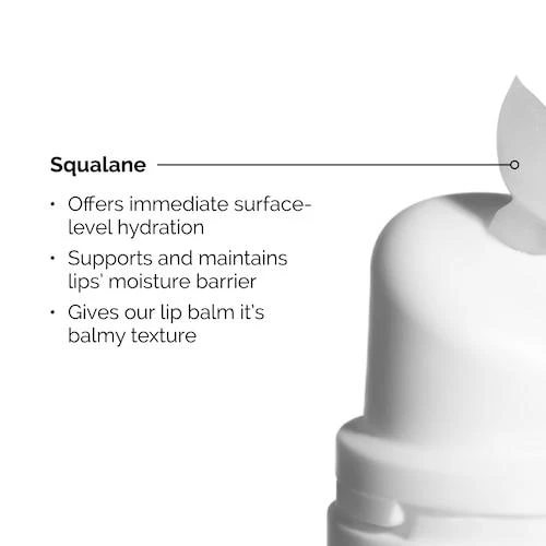 商品The Ordinary|Squalane + Amino Acids Hydrating Lip Balm,价格¥75,第3张图片详细描述