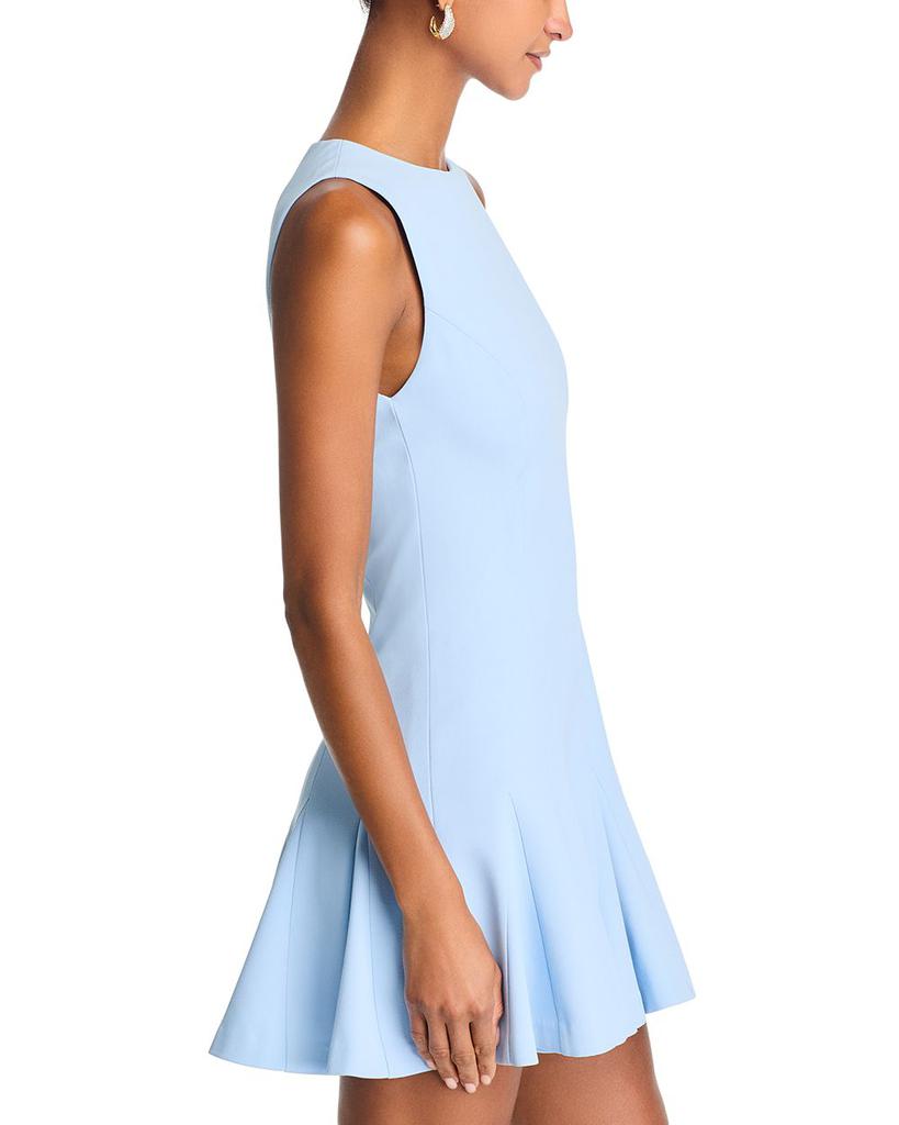 Shop Isa Sleeveless Seamed Flare Mini Dress on Sale at