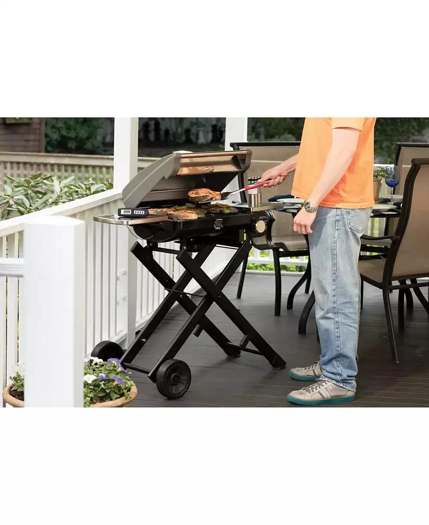 商品Cuisinart|CGG-240 All Foods Roll-Away Gas Grill,价格¥2254,第4张图片详细描述