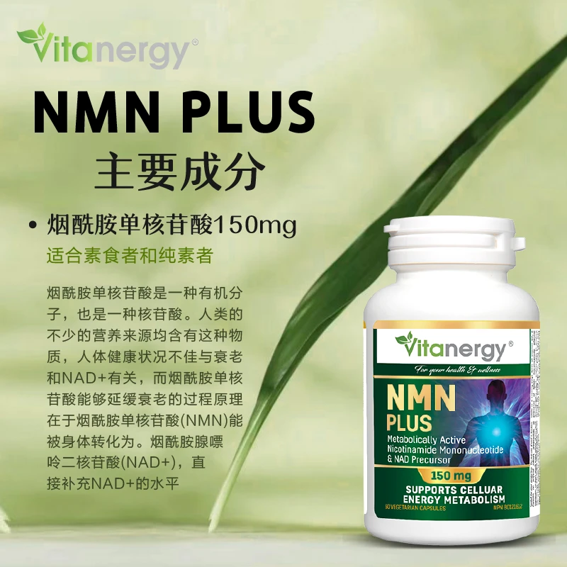 加拿大Vitanergy维生能NMN9000烟酰胺单核苷酸PLUS 60粒/瓶 | Vitanergy NMN PLUS9000    150mg 60 Cap 商品