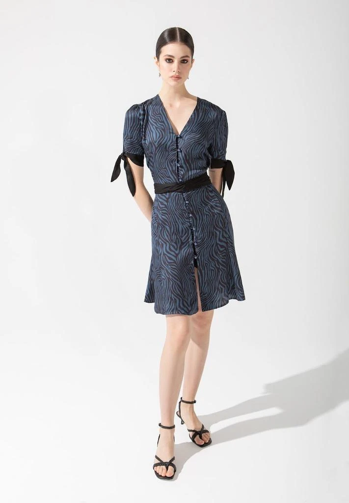 商品Anna Etter|Animal Print Mini Dress Florentina,价格¥1832,第1张图片