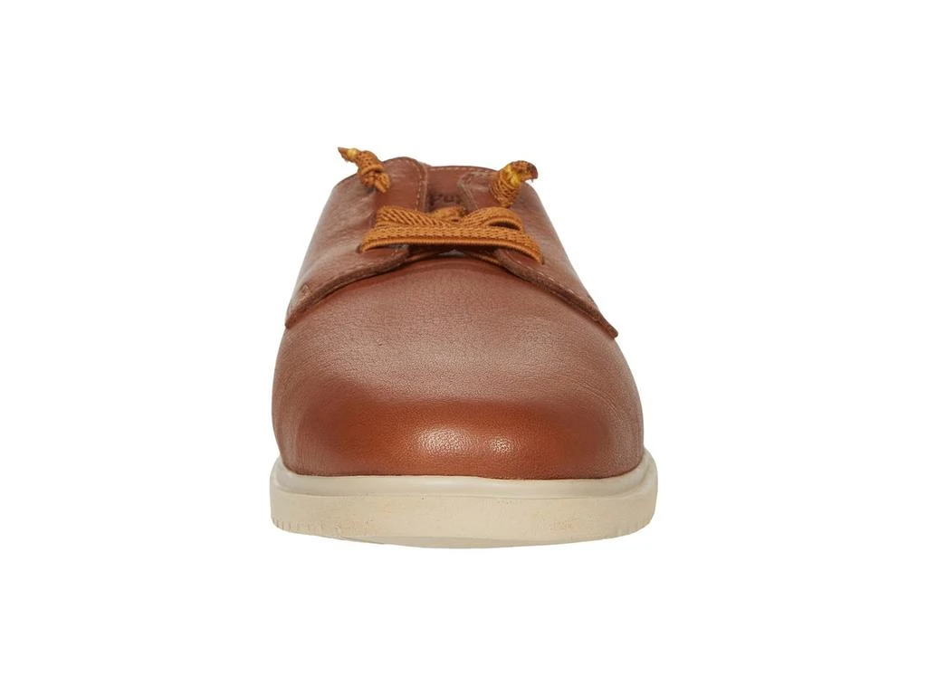The Everyday Oxford 商品