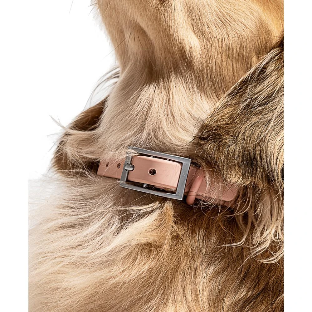 商品Wild One|Pink Buckle Dog Collar,价格¥113,第4张图片详细描述