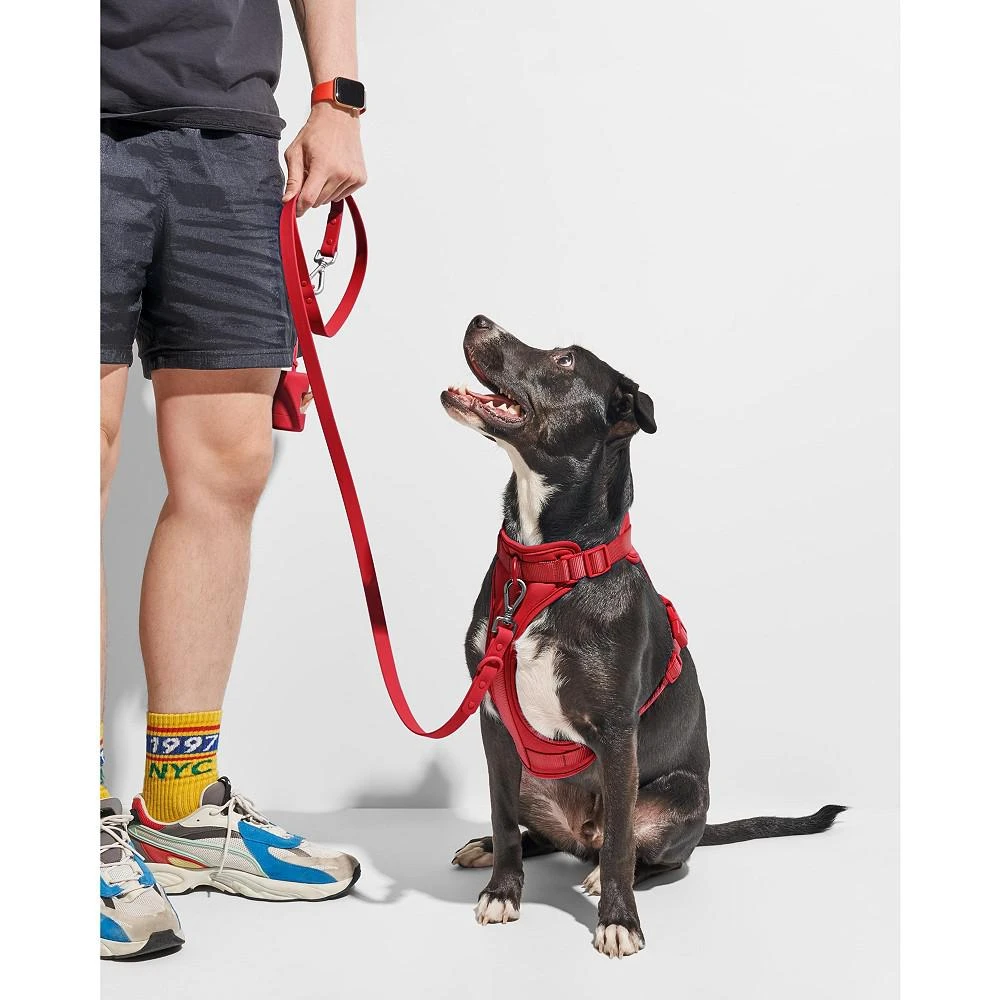 商品Wild One|Standard Leash for Dogs,价格¥303,第2张图片详细描述