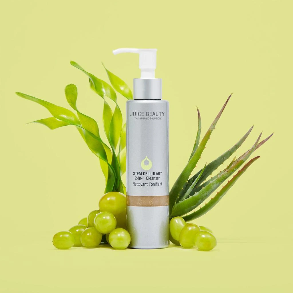 商品Juice Beauty|STEM CELLULAR 2-in-1 Cleanser,价格¥253,第3张图片详细描述