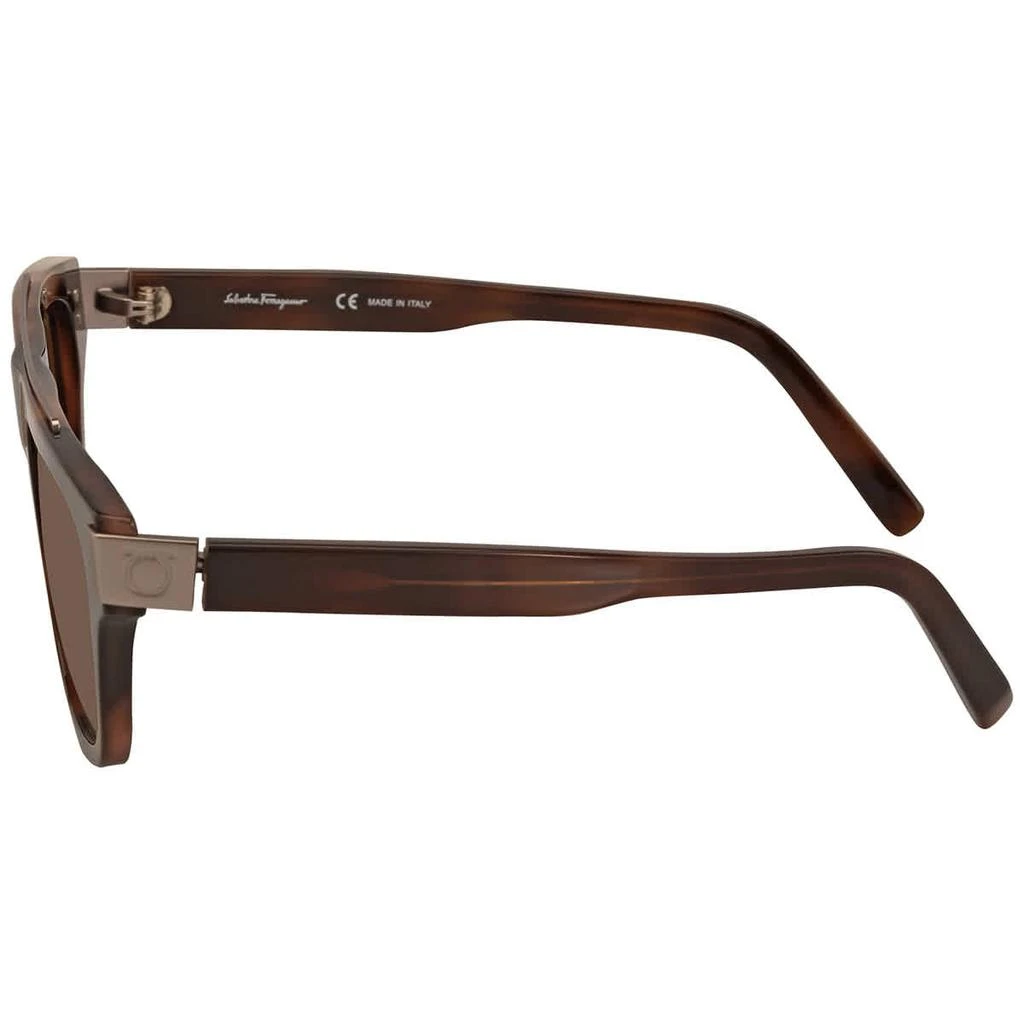 商品Salvatore Ferragamo|Salvatore Ferragamo Brown Browline Unisex Sunglasses SF1032S 229 54,价格¥598,第3张图片详细描述