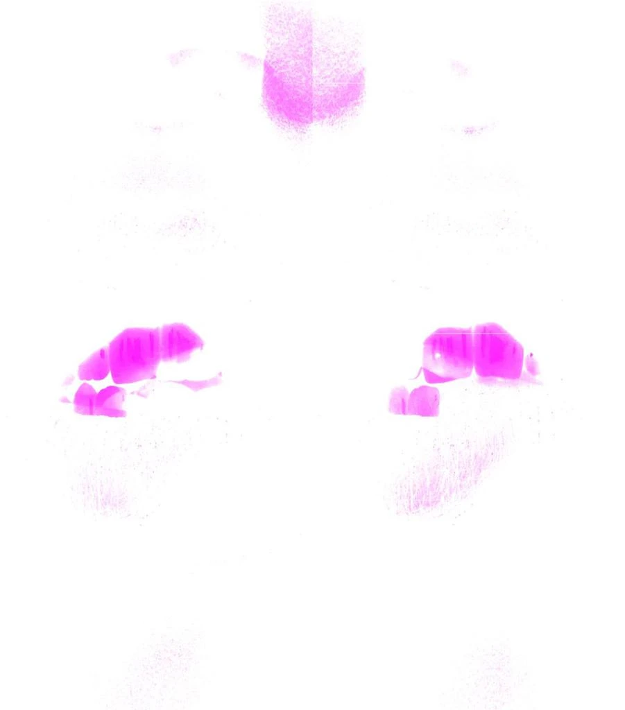 Rouge Pur Couture The Slim Glow Matte Lipstick 商品
